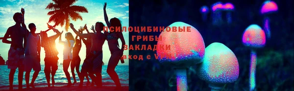 крисы Алексин